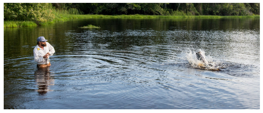 Luxury Fishing Experiences for Solo Travelers: Top Destinations & Tips