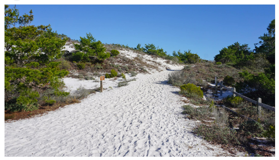 Henderson Beach State Park