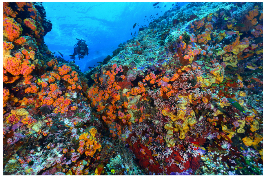 Tubbataha Reefs Natural Park