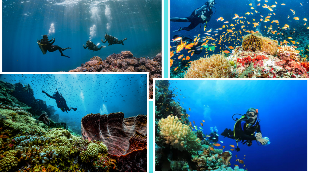 What Makes These Scuba Diving Spots Special