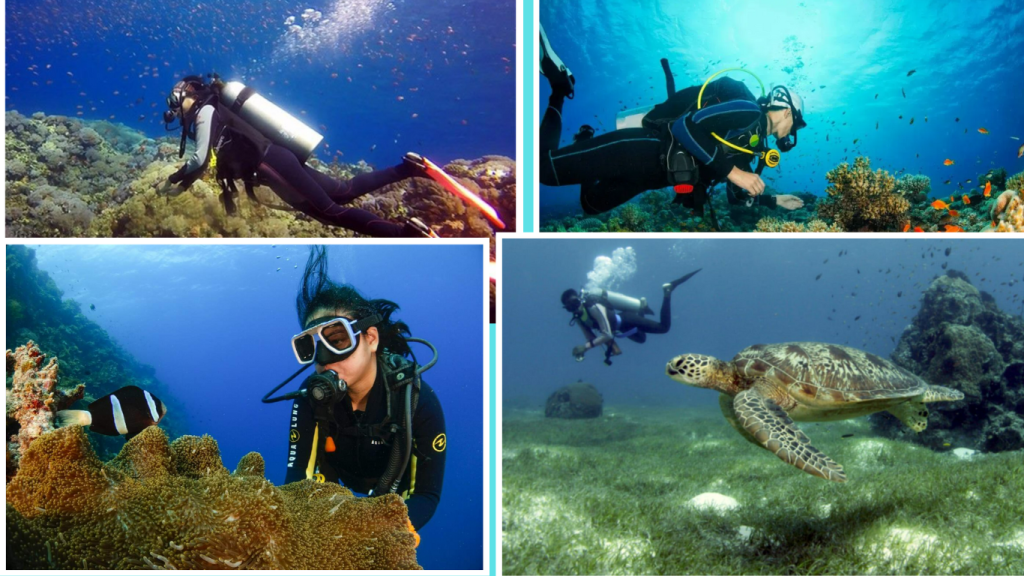 Why the Philippines is a Top Diving Destination