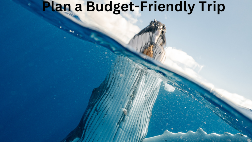 How to Plan a Budget-Friendly Trip